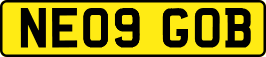 NE09GOB