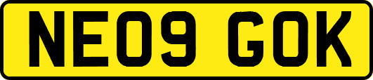 NE09GOK