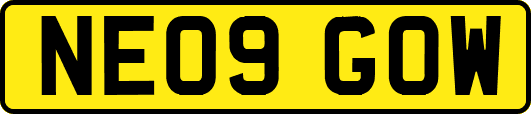 NE09GOW