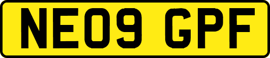 NE09GPF