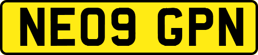 NE09GPN