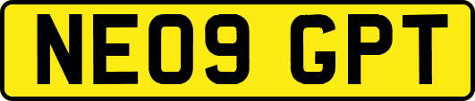 NE09GPT