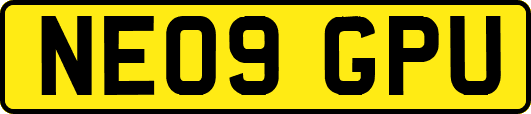 NE09GPU