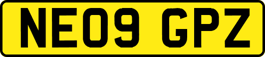 NE09GPZ