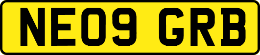 NE09GRB