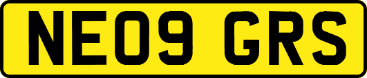 NE09GRS