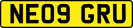 NE09GRU
