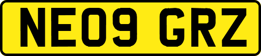 NE09GRZ