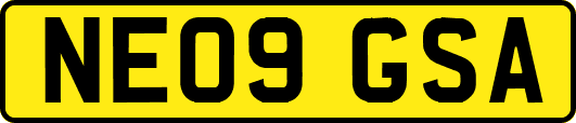 NE09GSA