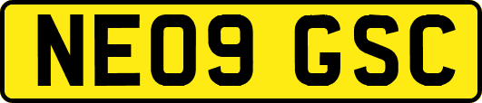 NE09GSC