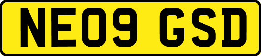 NE09GSD