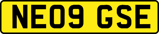 NE09GSE