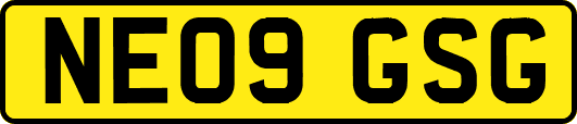 NE09GSG