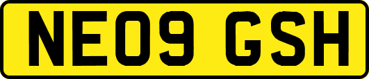 NE09GSH