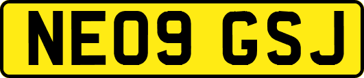 NE09GSJ