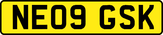 NE09GSK