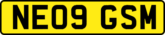 NE09GSM