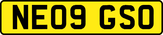 NE09GSO