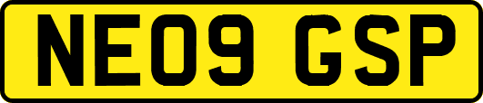 NE09GSP