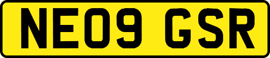 NE09GSR