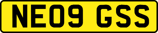 NE09GSS