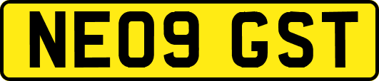 NE09GST