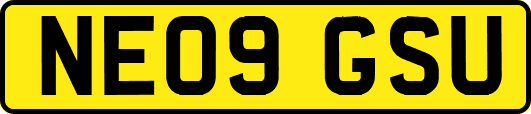 NE09GSU