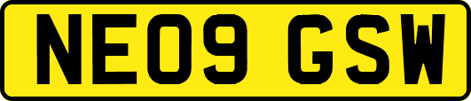 NE09GSW