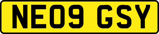 NE09GSY