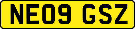 NE09GSZ