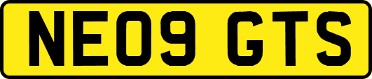NE09GTS