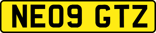 NE09GTZ