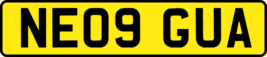 NE09GUA
