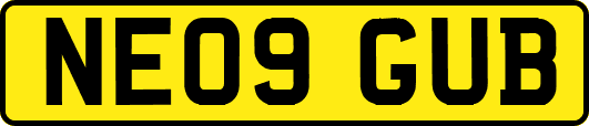 NE09GUB
