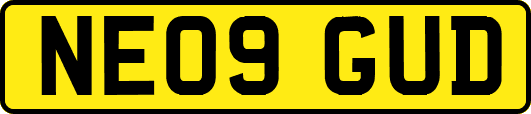 NE09GUD