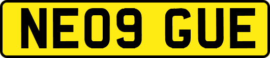 NE09GUE