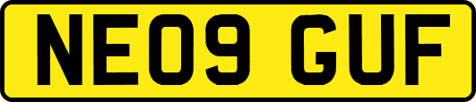 NE09GUF
