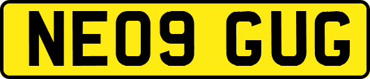 NE09GUG