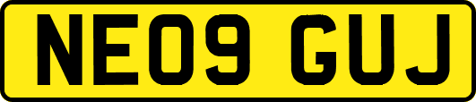 NE09GUJ