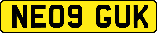 NE09GUK