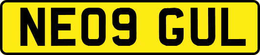 NE09GUL