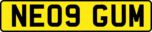 NE09GUM