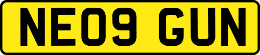 NE09GUN