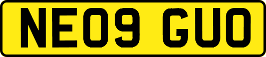 NE09GUO