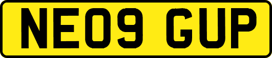 NE09GUP