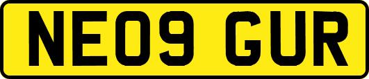 NE09GUR