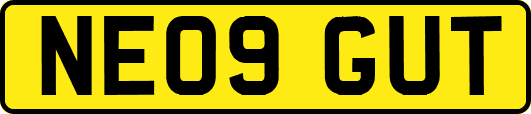 NE09GUT