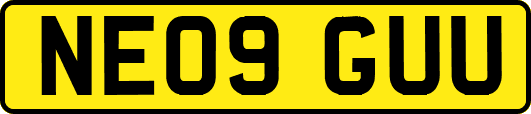 NE09GUU