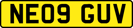 NE09GUV