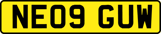 NE09GUW